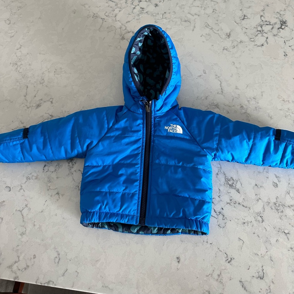 The north face coat